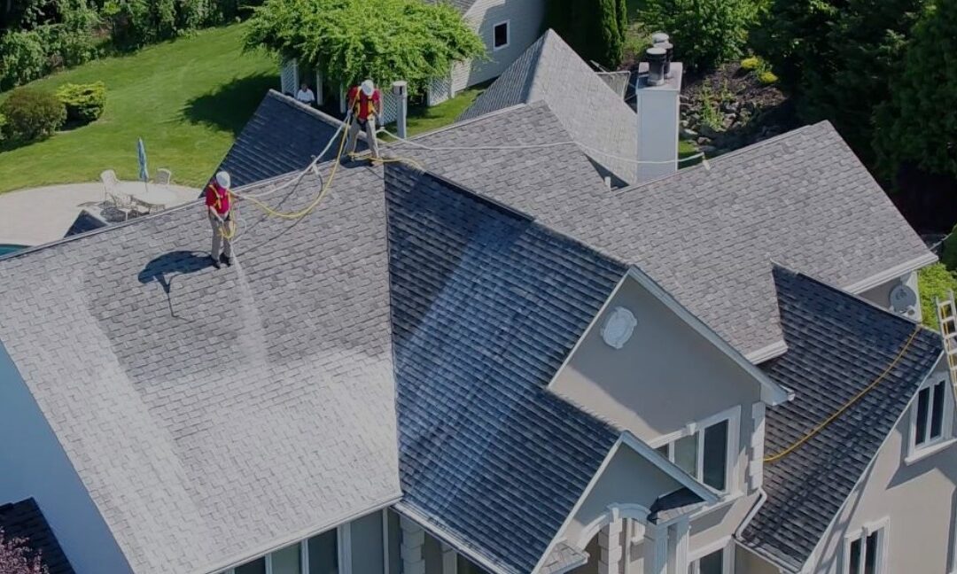 Best Roof for Coastal Areas: Flat vs. Pitched Roof