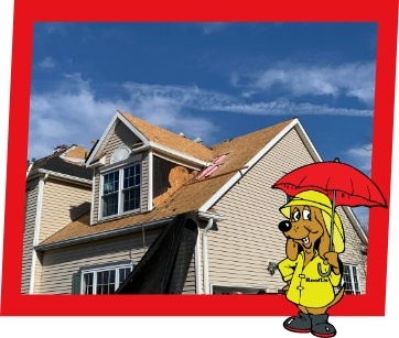 Section-1-Static-Siding