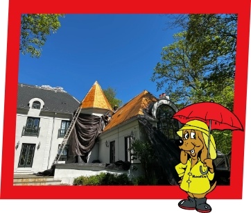 Section-1-Static_Roof-Replacement