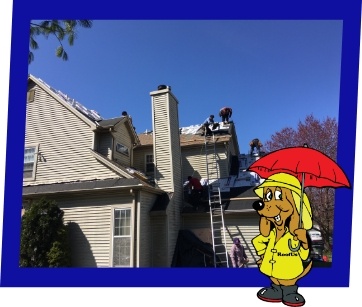 Section-2-Static-Roofing